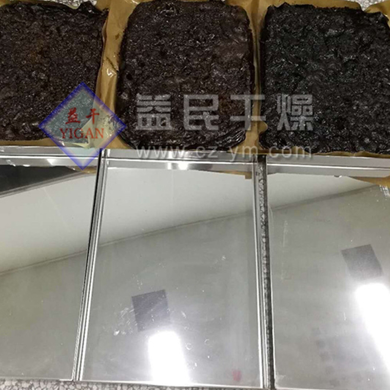 FZG Quadratum vacuum Tray Dryer