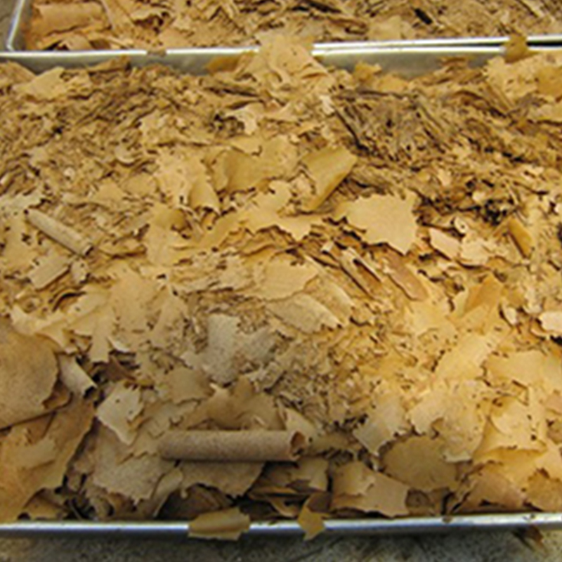 HG Rollerus STRAPAR Dryer