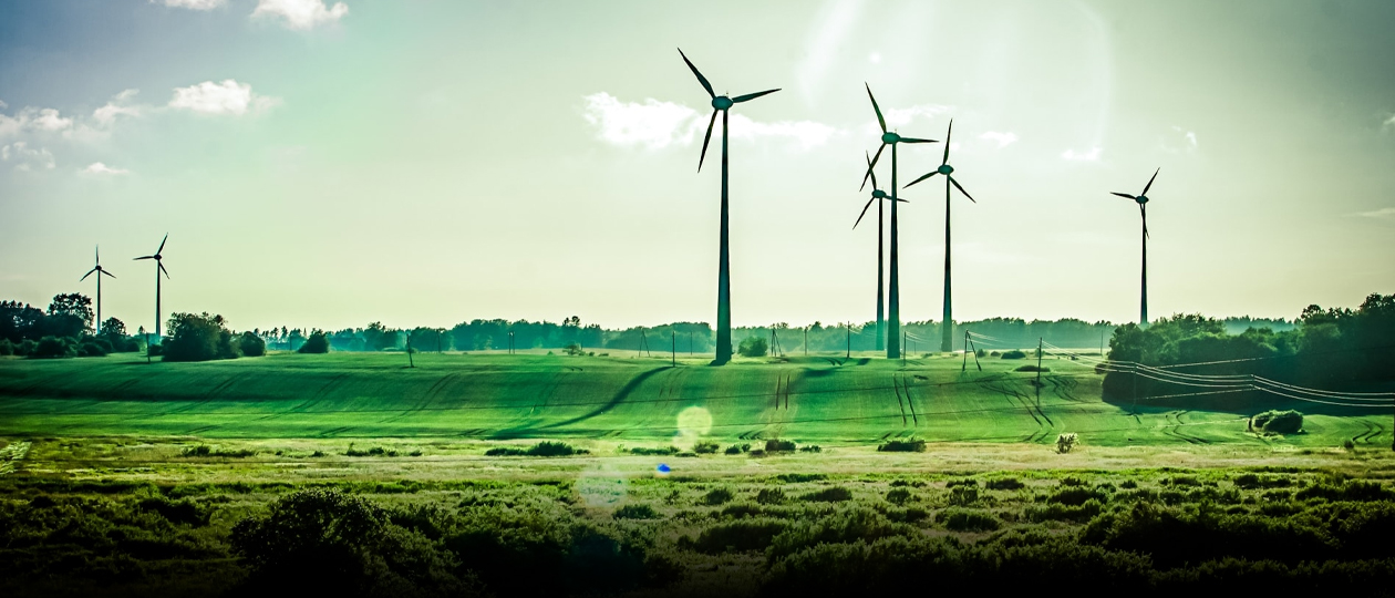 Environmental Donec Industry